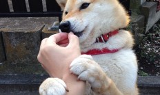 开云体育中国官网-跨界魔术，从篮球场到绿茵场，胜利的唯一法则