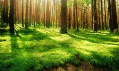 开云体育中国-世界杯焦点之外的传奇之战，广厦巅峰对决公牛