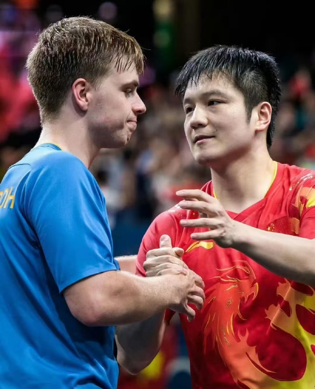 德国乒乓球队力克法国乒乓球队，波尔统治全场的简单介绍