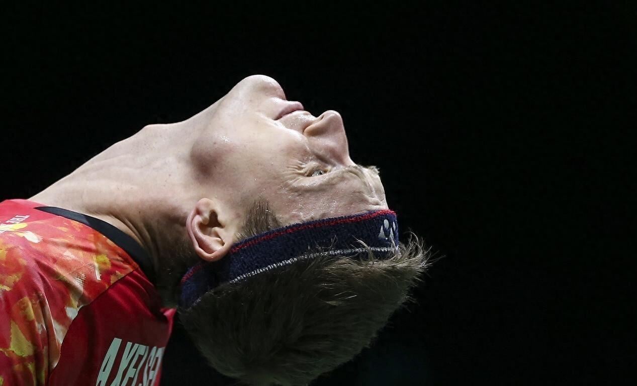 包含丹麦队碾压德国队，石宇奇状态火热的词条